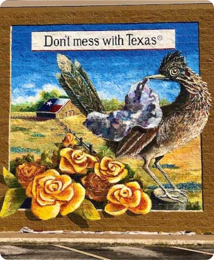 2020 Mural Cover Photo - Don't mess with Texas