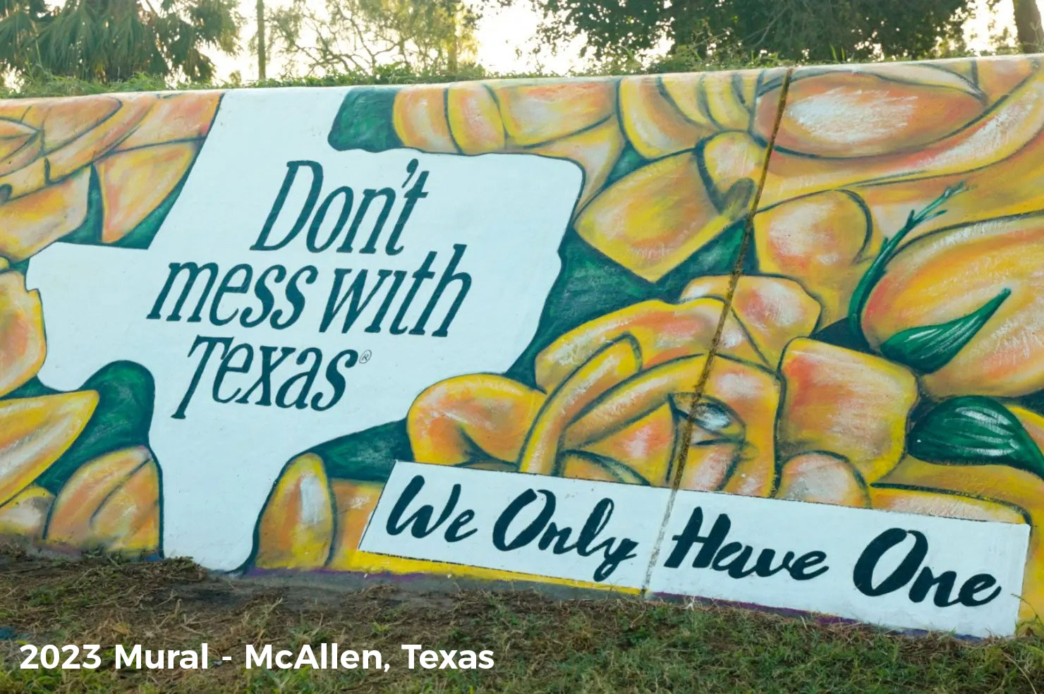 2023 Mural in McAllen, the first one in the Rio Grande Valley. Don’t mess with Texas "We Only Have One"